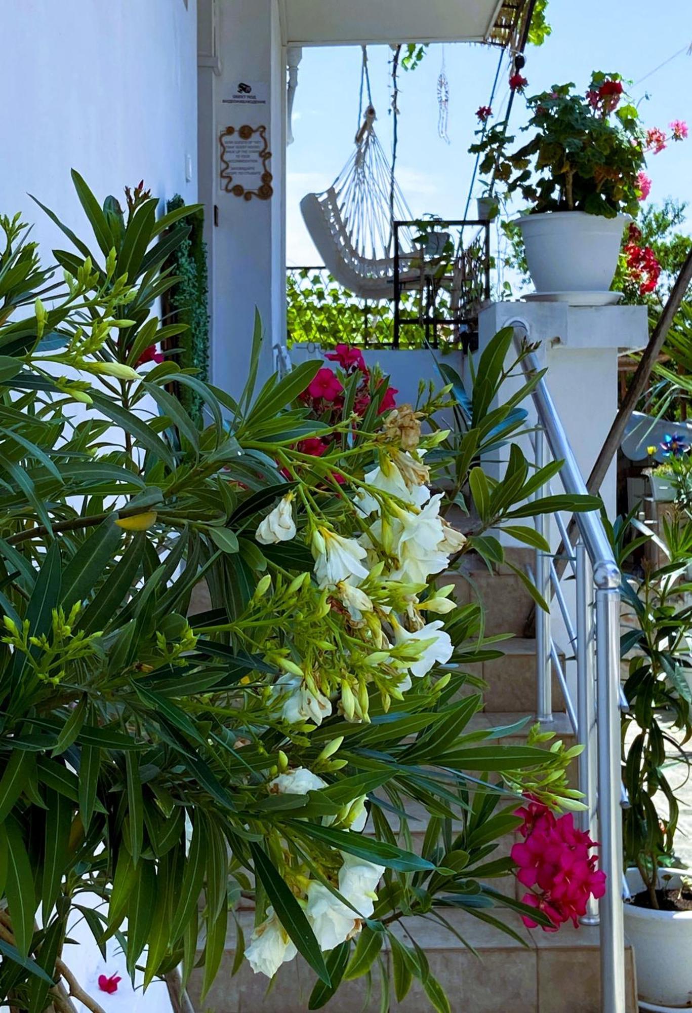 Guest House Hei Taka Sosopol Exterior foto